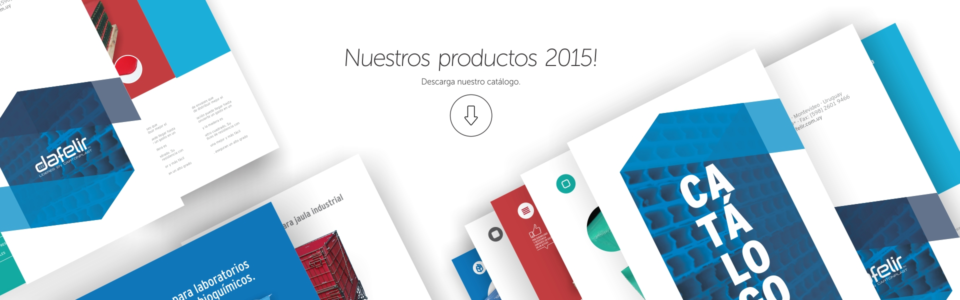 Nuestro catÃƒÂ¡logo
